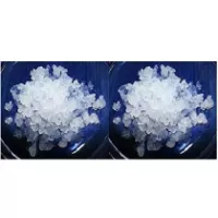 Pack 2x 100g Waterkefir korrels / Plantje
