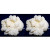 Pack 2x 40g Melkkefir Korrels / Plantje