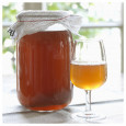 Pack 40g Melkkefir Korrels / Plantje + Komboecha Scoby
