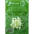 40g Melkkefir Korrels / Plantje