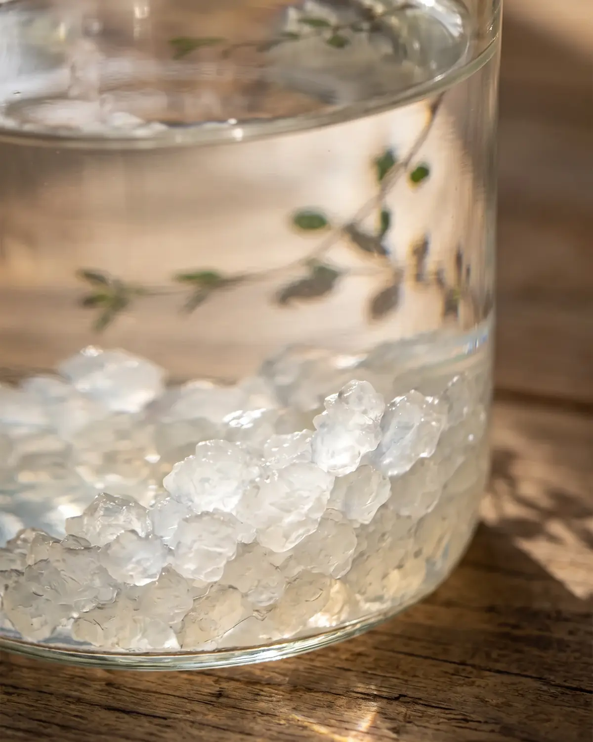 www waterkefir net Heldere pot met waterkefir waarin doorschijnende korrels glanzen onder een zachte bladschaduw.
