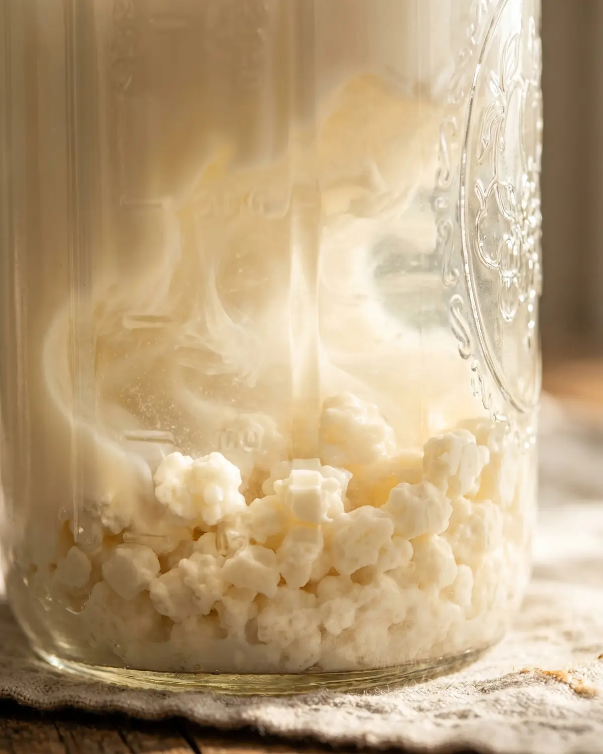 fermenteren betekenis Macrobeeld van roomwitte melkkefirkorrels op de bodem van een pot, omgeven door melk.