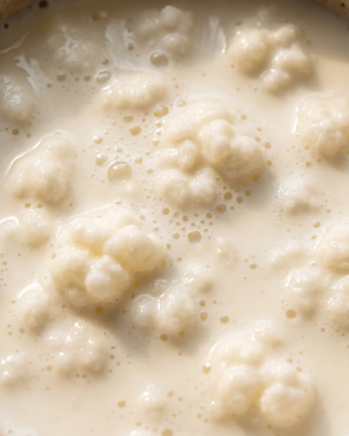 melkkefir Macrobeeld van het romige oppervlak van melkkefir met fijne belletjes onder zacht bovenlicht