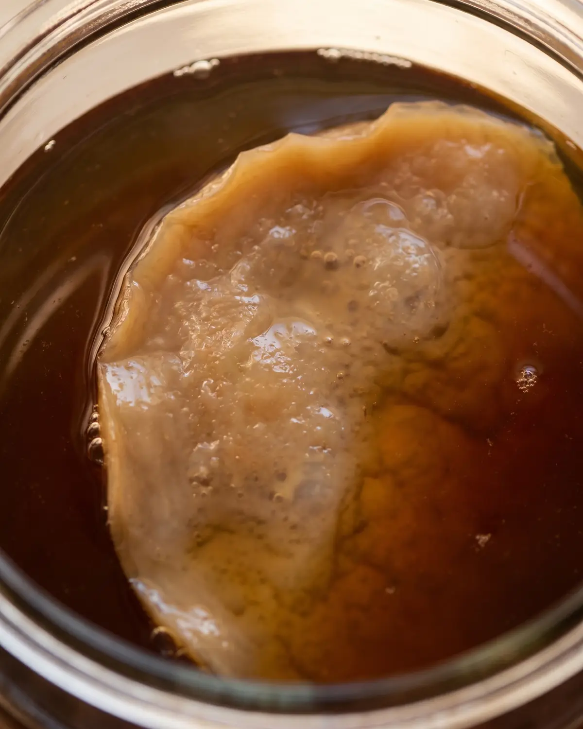 kombucha gevaarlijk Dunne SCOBY met onregelmatige rand drijft bovenop donkere thee, van bovenaf gefotografeerd